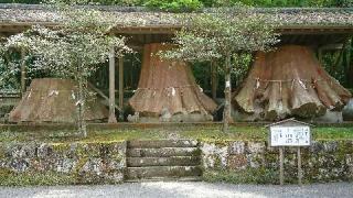 宇奈岐日女神社の参拝記録(カリンさん)