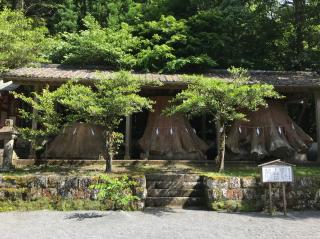 宇奈岐日女神社の参拝記録(ロカさん)