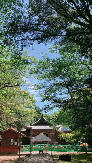 江田神社の参拝記録( 14th moonさん)