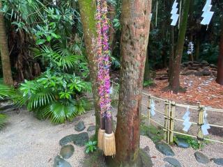 青島神社(元宮)の参拝記録(スエさん)