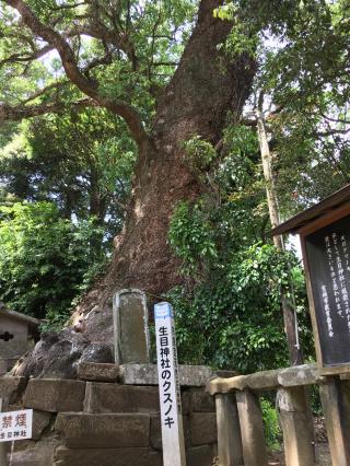 生目神社の参拝記録(TOSHIさん)