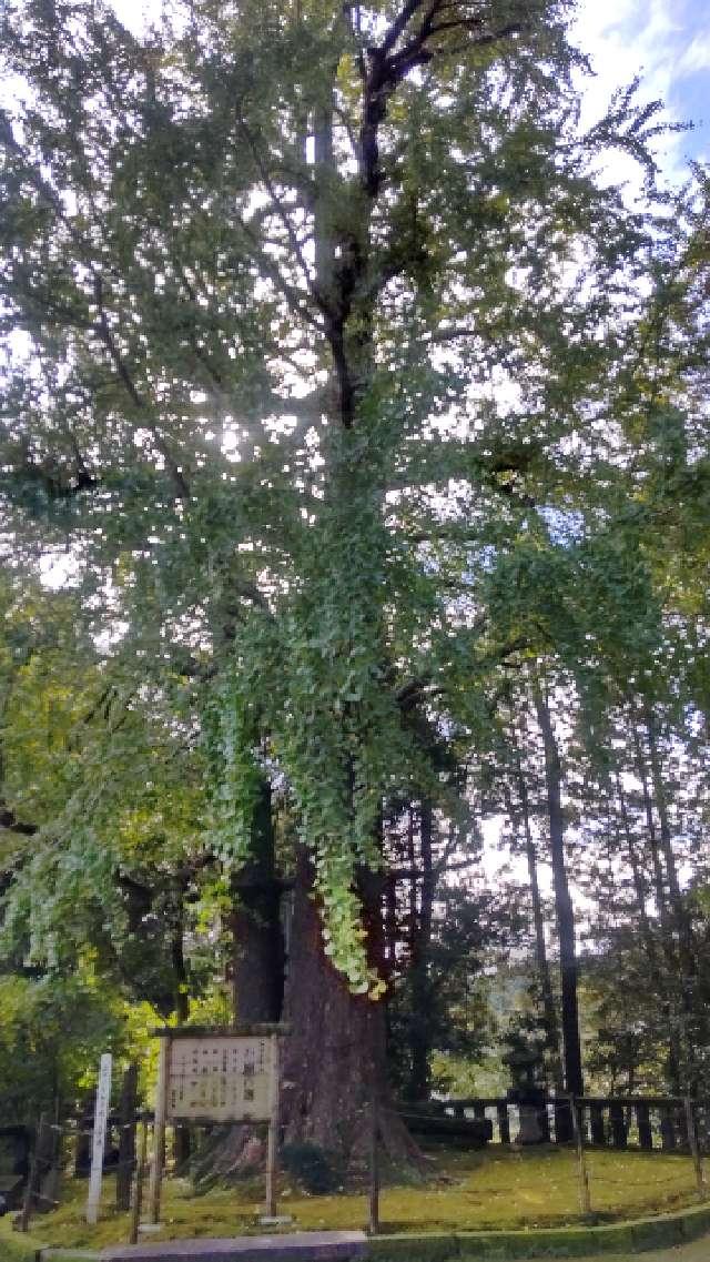 生目神社の参拝記録8