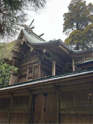 白鳥神社の参拝記録(ほちさん)