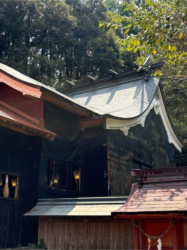 霧島岑神社の参拝記録10