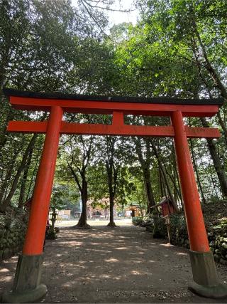 霧島岑神社の参拝記録(ほちさん)