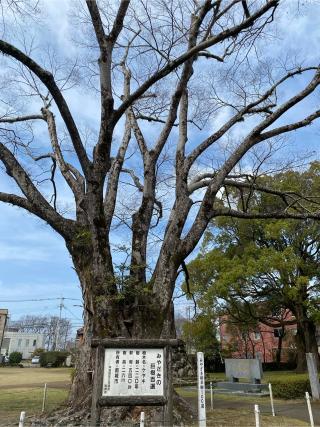 神柱宮の参拝記録(やっくんさん)