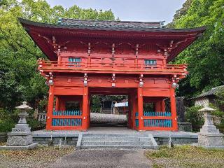 今山八幡宮の参拝記録(風祭すぅさん)