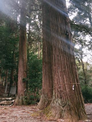 神門神社の参拝記録( 14th moonさん)