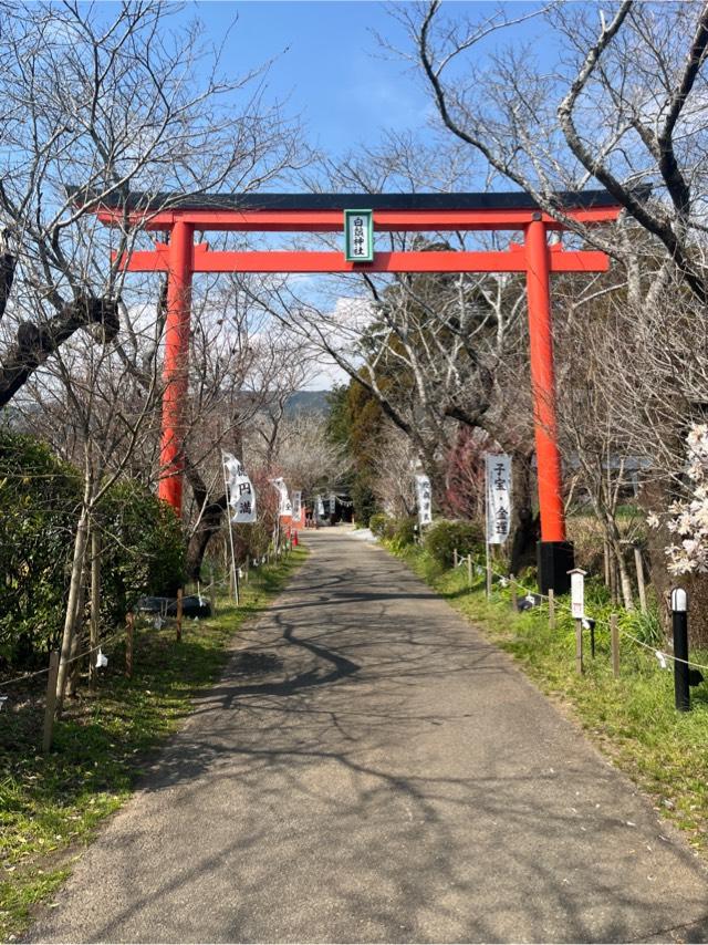 宮崎県児湯郡川南町大字川南1987 白鬚神社の写真2