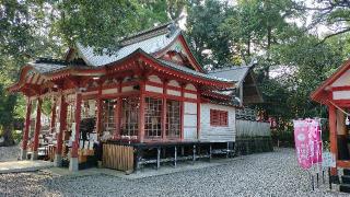 白鬚神社の参拝記録(あっきーさん)