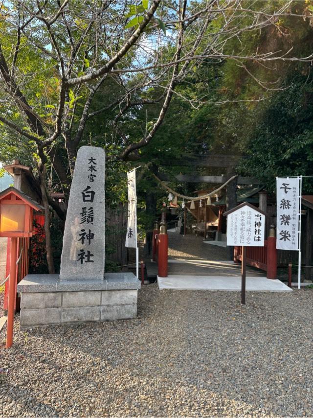 白鬚神社の参拝記録10