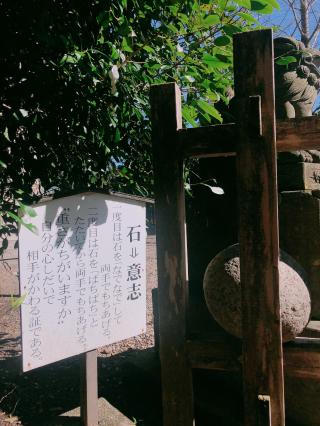 白鬚神社の参拝記録( 14th moonさん)