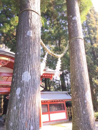霧島東神社の参拝記録(TOSHIさん)