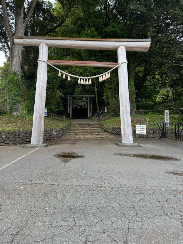 天岩戸神社東本宮の参拝記録(こーちんさん)
