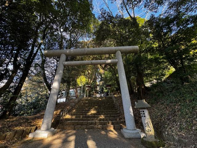 天岩戸神社東本宮の参拝記録8