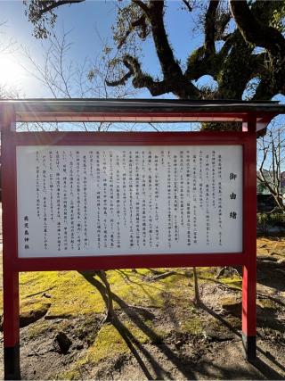 鹿児島神社の参拝記録(ほちさん)
