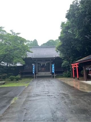 谷山神社の参拝記録(こうじさん)