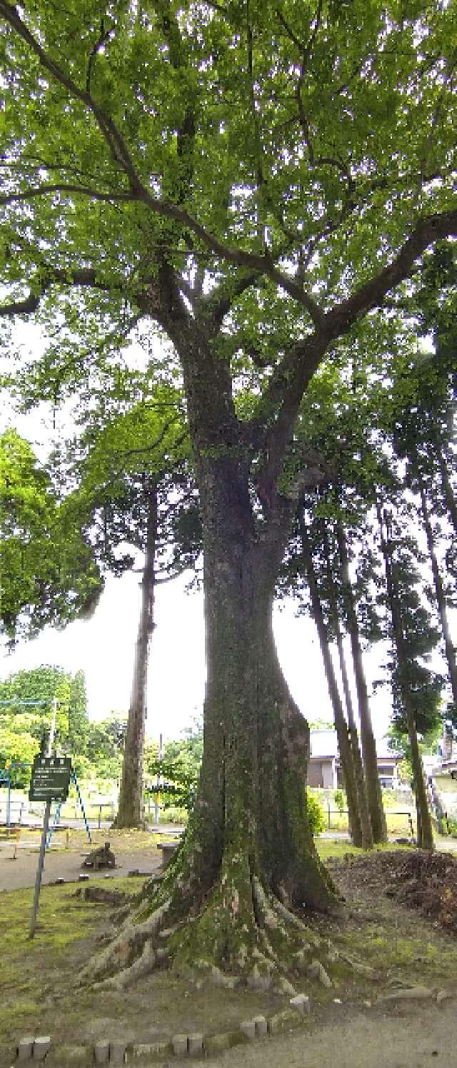 鹿児島県鹿児島市岡之原町1012・1013・1014 塚田神社の写真3