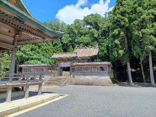 鶴嶺神社の参拝記録(ぷにぷにきいめいさん)