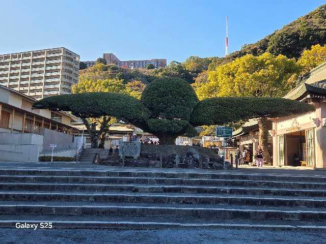 照國神社の参拝記録9