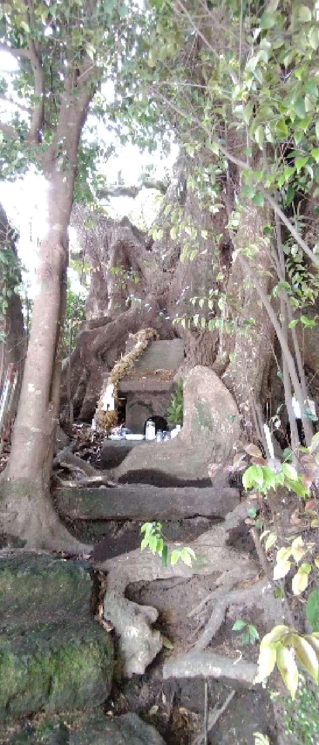 鹿児島県鹿児島市吉野町7131 七社神社の写真6