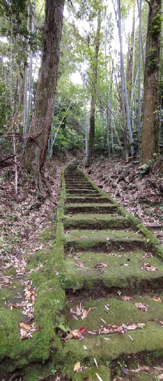 鹿児島県鹿児島市川上町1564 日枝神社の写真5