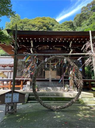 稲荷神社の参拝記録(こうじさん)