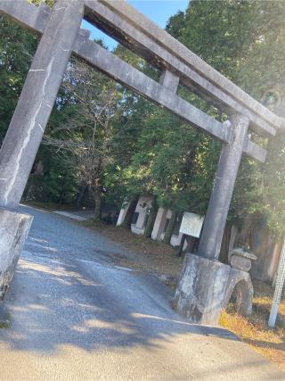 南方神社の参拝記録(ピクミンさん)