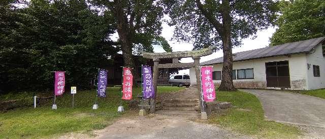 鹿児島県いちき串木野市浜ケ城12423 串木野神社の写真1