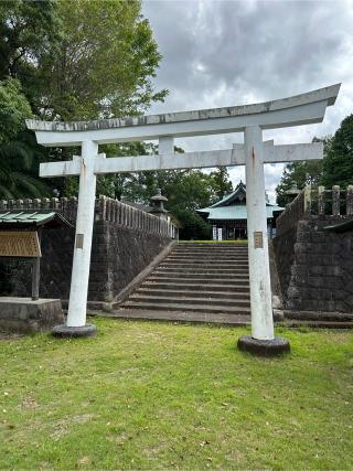 串木野神社の参拝記録(はっしーさん)