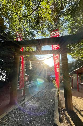 照島神社の参拝記録(よつばちゃんさん)