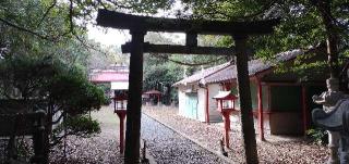 照島神社の参拝記録(あっきーさん)