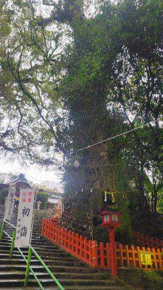 枚聞神社の参拝記録(たけたけさん)