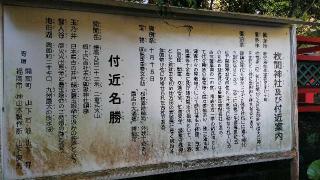 枚聞神社の参拝記録(あっきーさん)