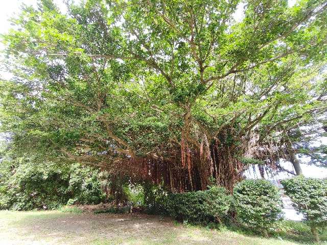鹿児島県南さつま市坊津町泊44 九玉神社の写真5
