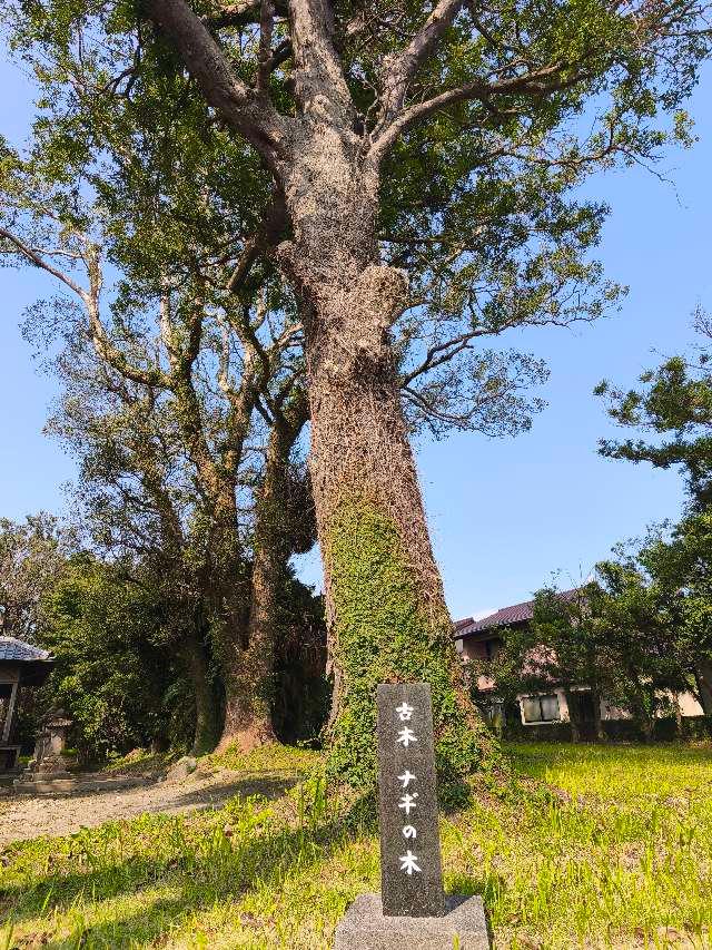鹿児島県南さつま市加世田益山8804 八幡神社の写真6