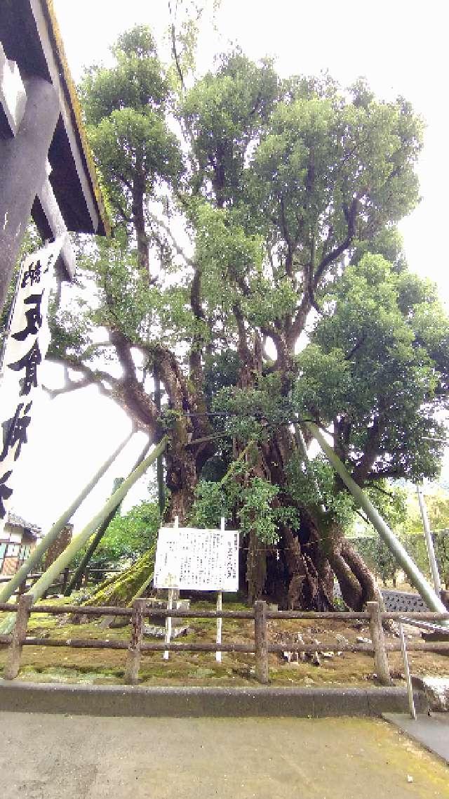 鹿児島県南九州市川辺町宮4778 飯倉神社の写真3