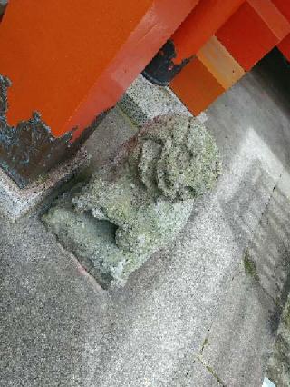 飯倉神社の参拝記録(飛成さん)