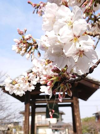 全長寺の参拝記録(グインさん)