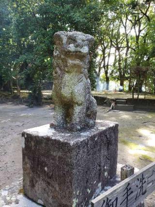 豊玉姫神社の参拝記録(風祭すぅさん)