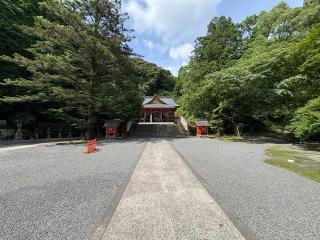 豊玉姫神社の参拝記録(いけさん)