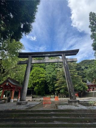 豊玉姫神社の参拝記録(ほちさん)