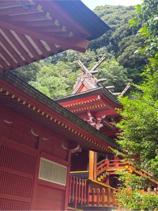 豊玉姫神社の参拝記録(ほちさん)