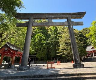 豊玉姫神社の参拝記録(ピーナッツさん)