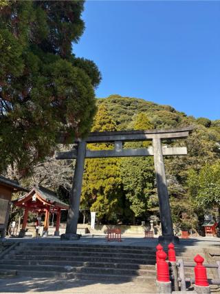 豊玉姫神社の参拝記録(エイジさん)