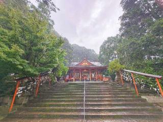 豊玉姫神社の参拝記録(西口さん家のゆうじ君さん)