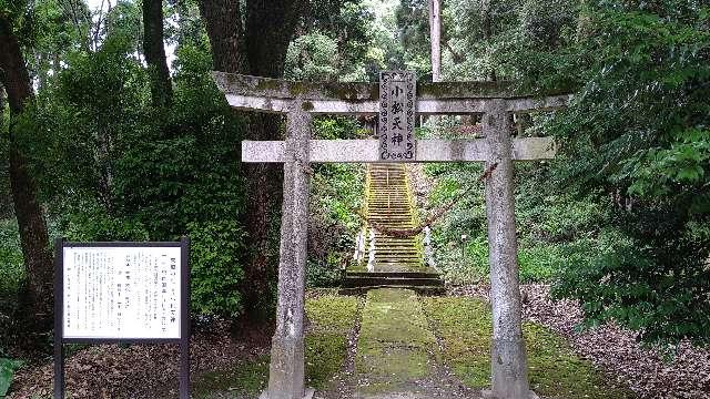 菅原神社(小松天神)の写真1