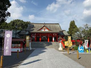 箱崎八幡神社の参拝記録(ドラゴンさん)