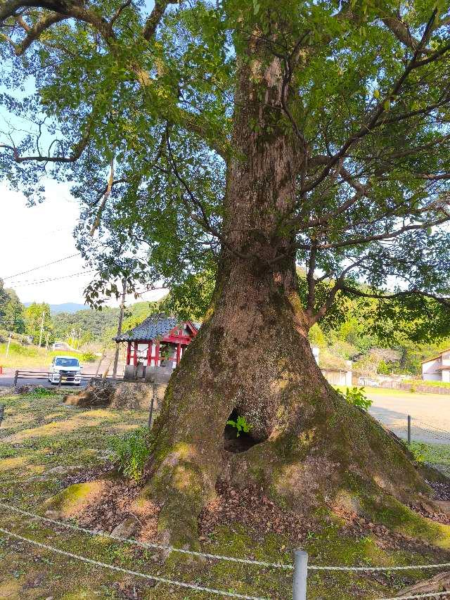 鹿児島県薩摩川内市東郷町宍野1194 軍神社の写真8