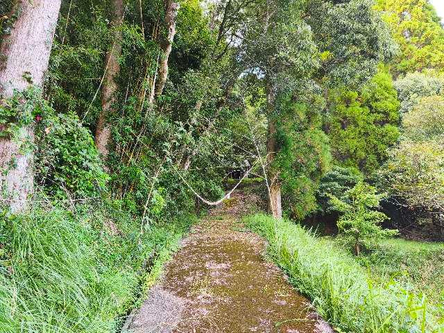 久玉神社の参拝記録1